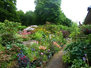 The Gardens Garden centre Boyle (120)