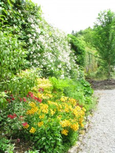 The Gardens Herbaceous Border  (7)