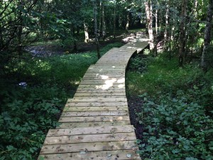 The Gardens Landscaping Boardwalk (4)