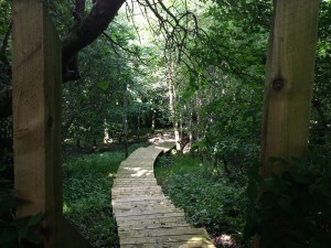 The Gardens Landscaping Boardwalk (6)