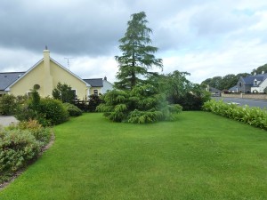 The Gardens Landscaping Herbaceous Borders (1)