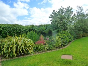 The Gardens Landscaping Herbaceous Borders (14)