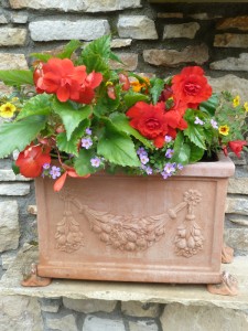The Gardens Window Boxes (2)