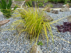 The gardens Landscaping rock garden alpine herbaceous planting (8)