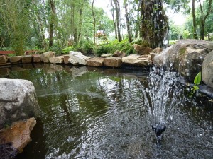 The gardens Landscaping rock pool water feature (10)