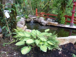 The gardens Landscaping rock pool water feature (12)