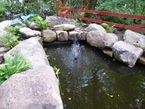 The gardens Landscaping rock pool water feature (2)