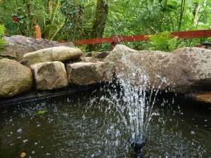 The gardens Landscaping rock pool water feature (6)