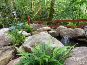 The gardens Landscaping rock pool water feature (7)