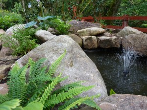 The gardens Landscaping rock pool water feature (9)